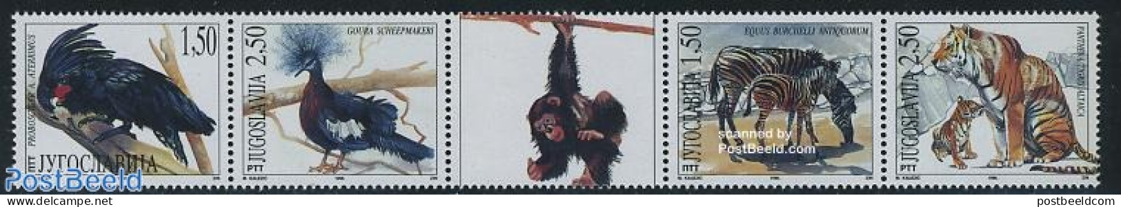 Yugoslavia 1996 Beograd Zoo 4v+tab [::T::] (tab May Vary), Mint NH, Nature - Animals (others & Mixed) - Birds - Cat Fa.. - Ungebraucht