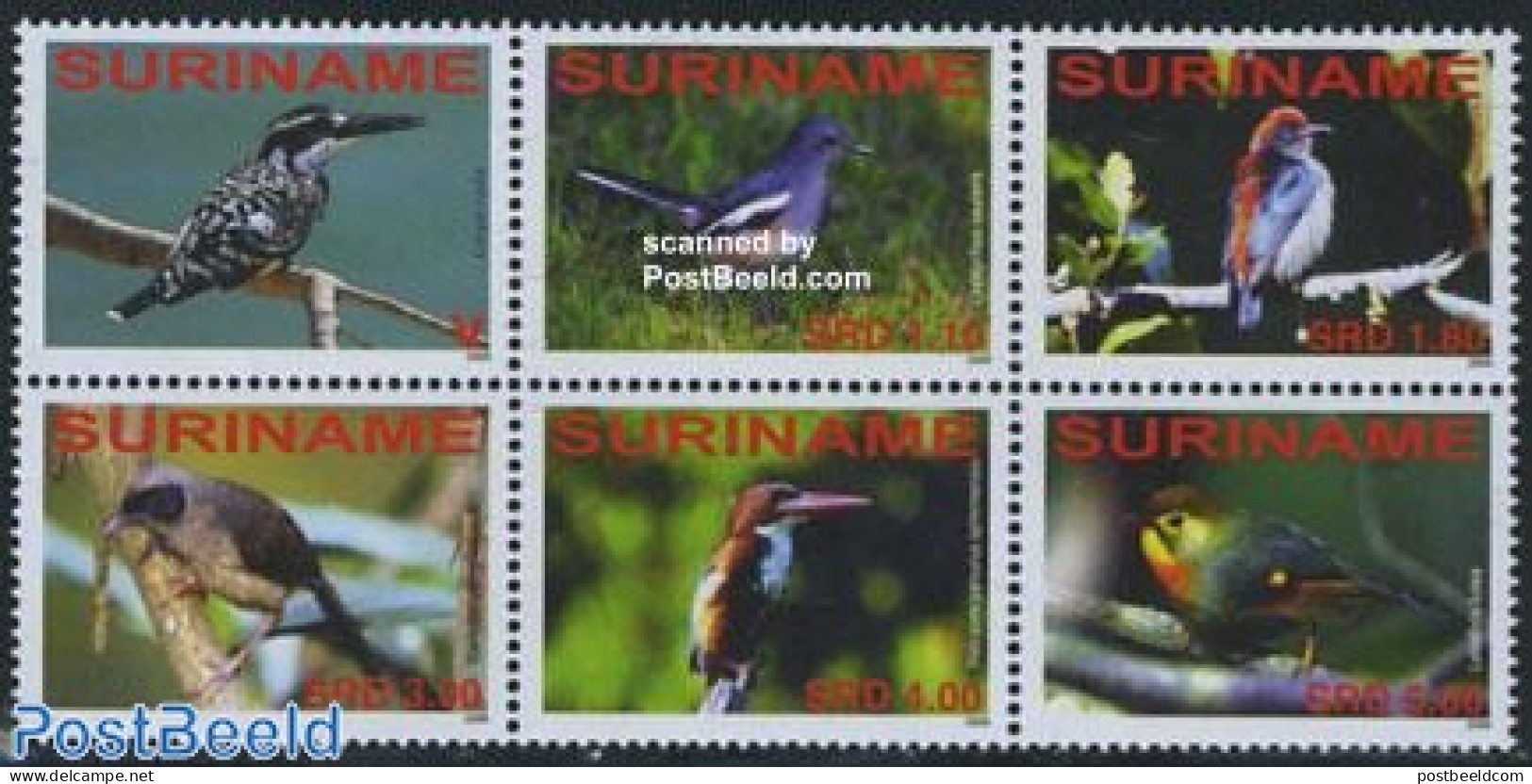 Suriname, Republic 2008 Birds 6v [++], Mint NH, Nature - Birds - Suriname