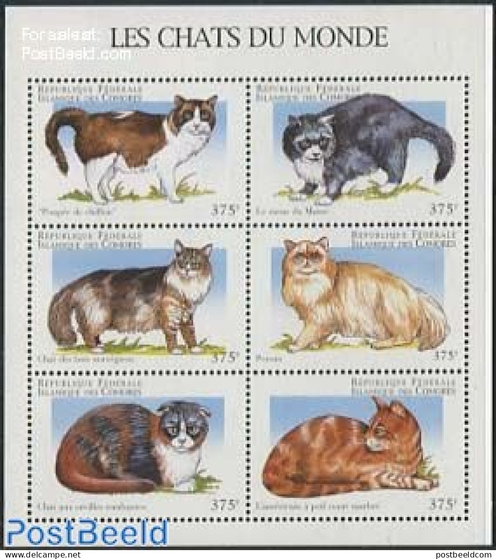 Comoros 1998 Cats 6v M/s, Mint NH, Nature - Cats - Comores (1975-...)