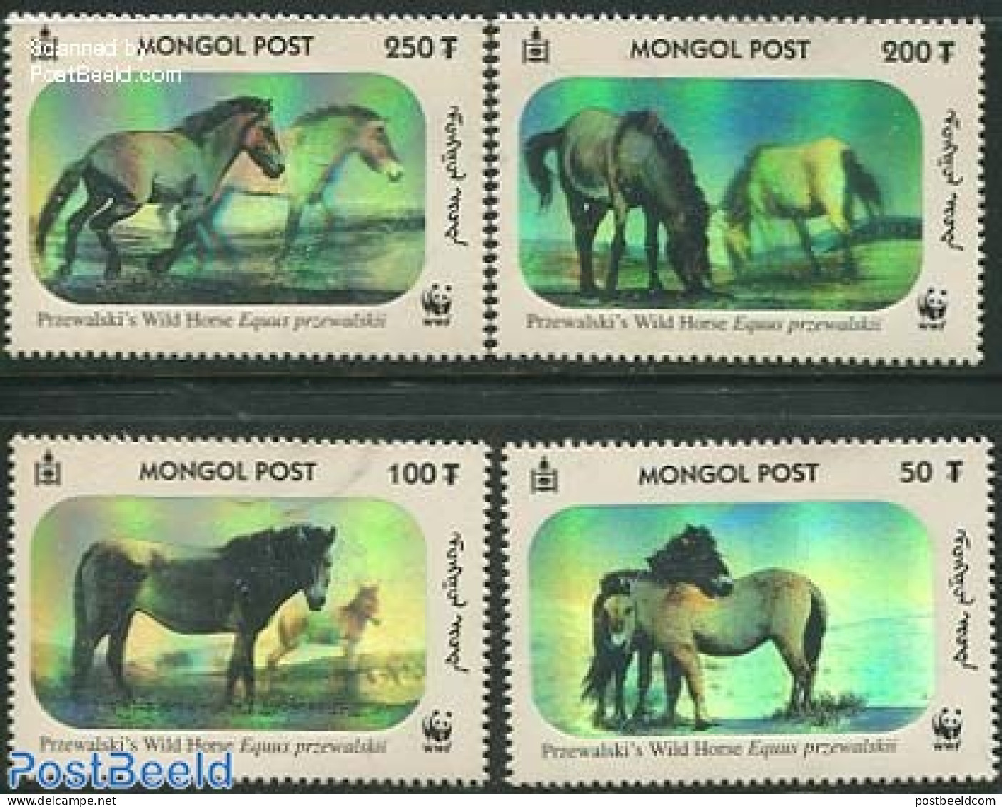 Mongolia 2000 WWF, Horses, Hologram 4v, Mint NH, Nature - Various - Horses - World Wildlife Fund (WWF) - Holograms - Hologrammes