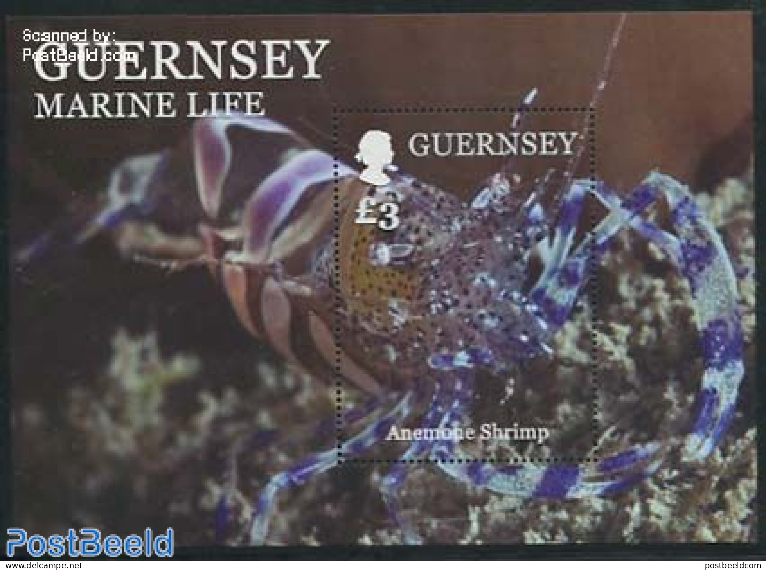 Guernsey 2014 Marine Life S/s, Mint NH, Nature - Crabs And Lobsters - Guernesey