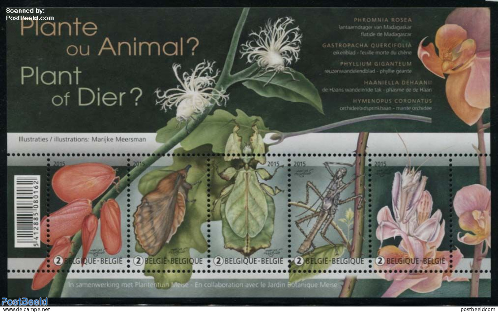 Belgium 2015 Plant Or Animal S/s, Mint NH, Nature - Animals (others & Mixed) - Flowers & Plants - Insects - Nuovi