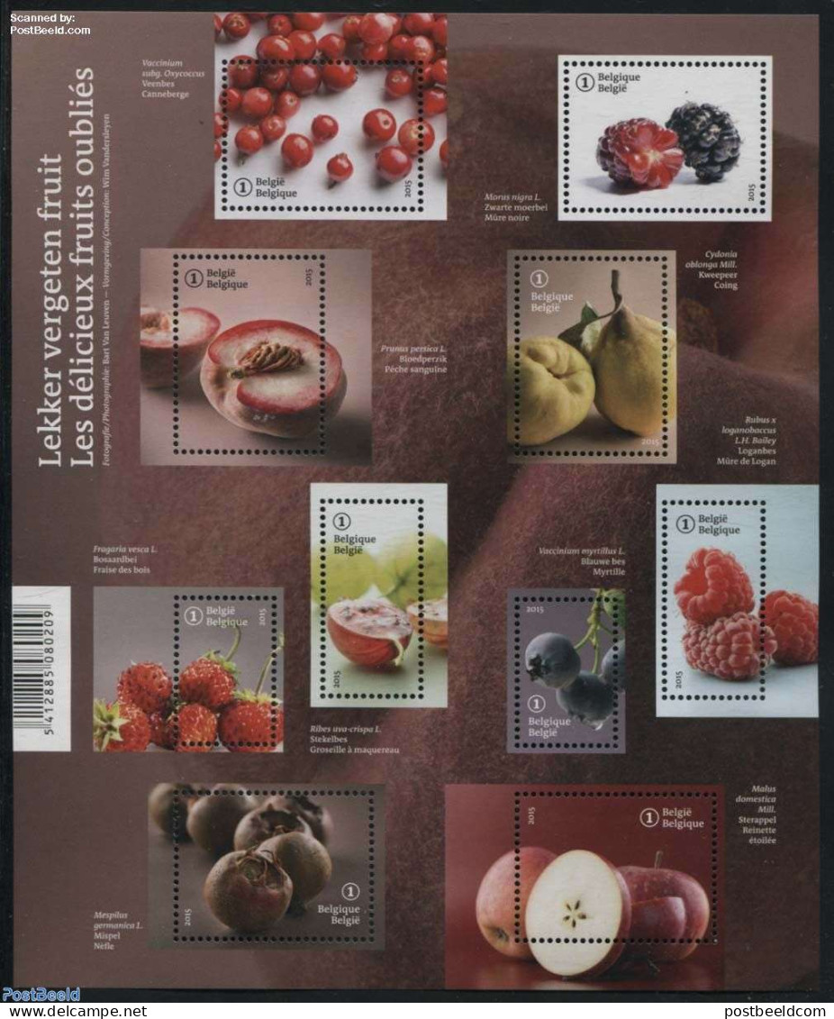 Belgium 2015 Forgotten Fruits 10v M/s, Mint NH, Nature - Fruit - Neufs