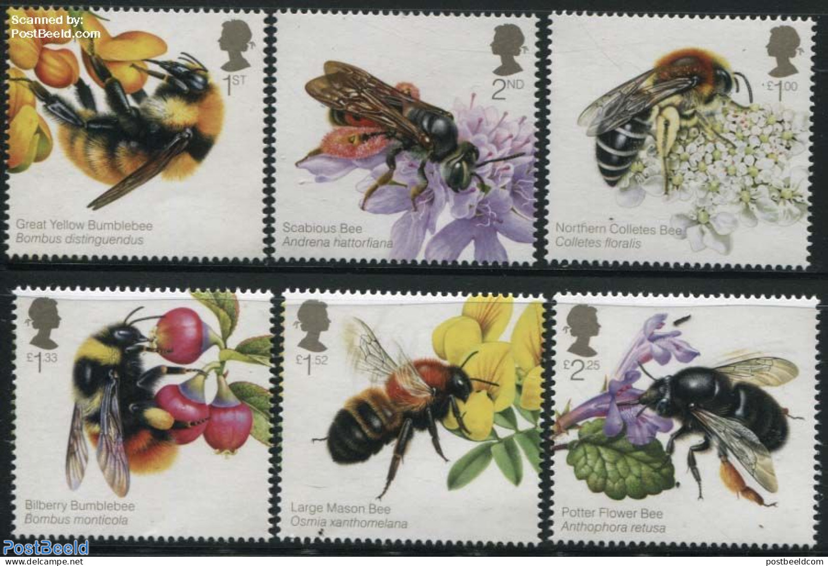 Great Britain 2015 Bees 6v, Mint NH, Nature - Bees - Insects - Neufs