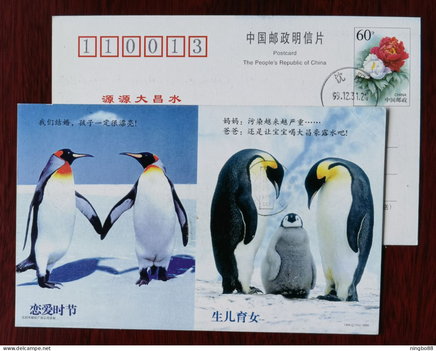 Penguin Love Season,Having Children,China 1999 Shenyang Dachang Pure Water Advertising Pre-stamped Card - Antarctic Wildlife