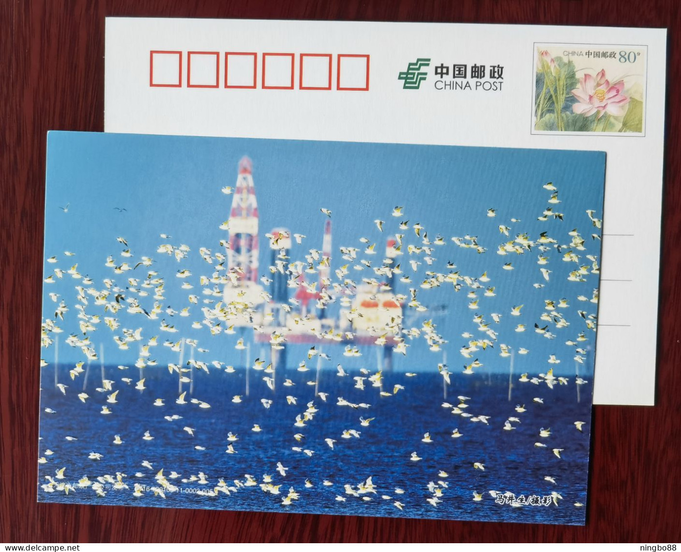 Offshore Drilling Platforms,China 2016 Tianjin Dagang Oilfield Advertising Pre-stamped Card - Pétrole