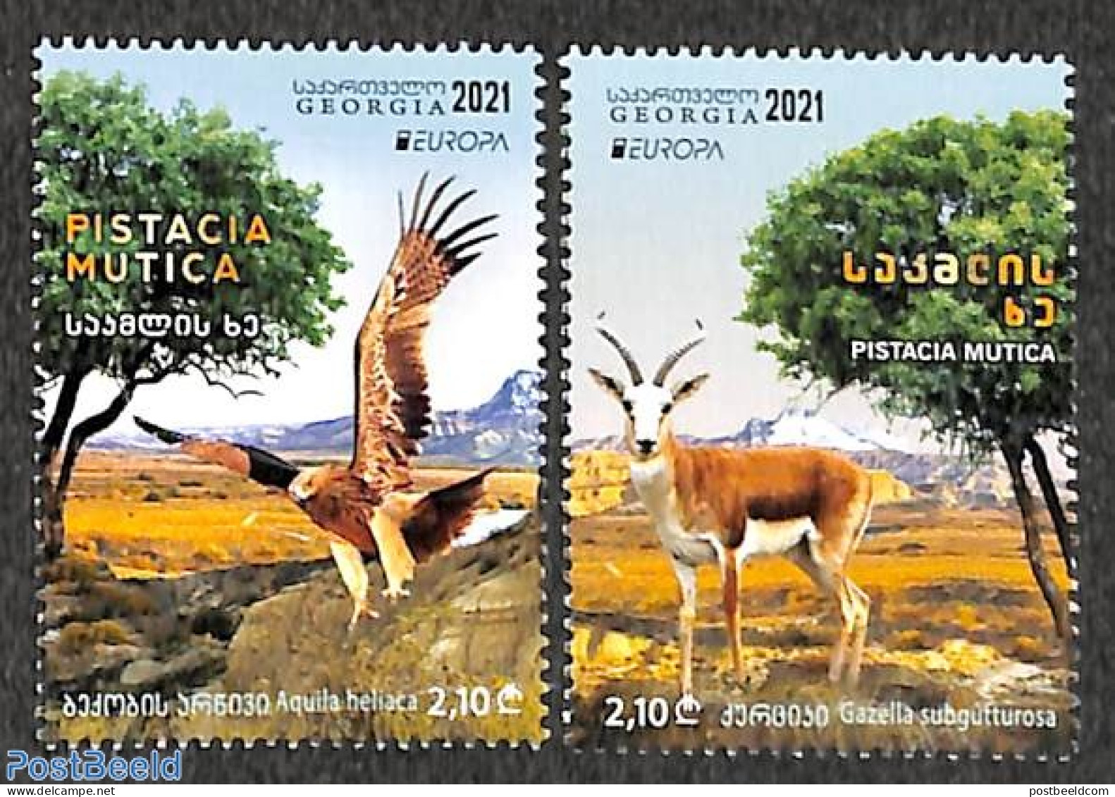 Georgia 2021 Europa, Endangered Animals 2v, Mint NH, History - Nature - Europa (cept) - Animals (others & Mixed) - Birds - Géorgie