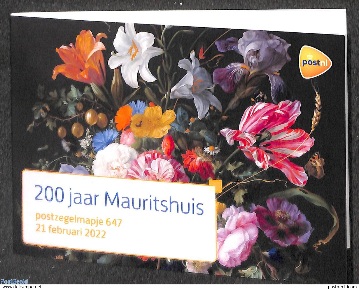 Netherlands 2022 200 Years Mauritshuis, Presentation Pack 647, Mint NH - Carnets Et Roulettes