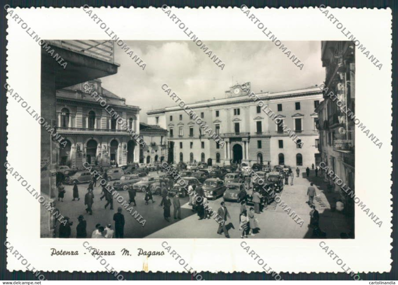 Potenza Foto FG Cartolina EE0991 - Potenza