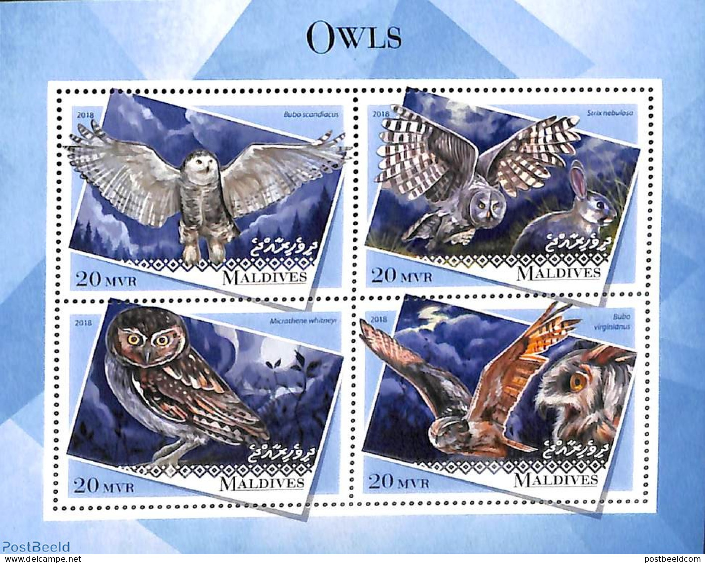 Maldives 2018 Owls 4v M/s, Mint NH, Nature - Birds - Birds Of Prey - Owls - Maldives (1965-...)