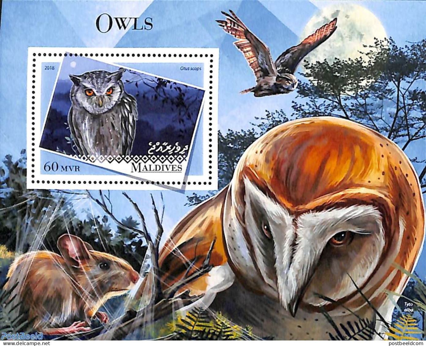 Maldives 2018 Owls S/s, Mint NH, Nature - Birds - Birds Of Prey - Owls - Malediven (1965-...)