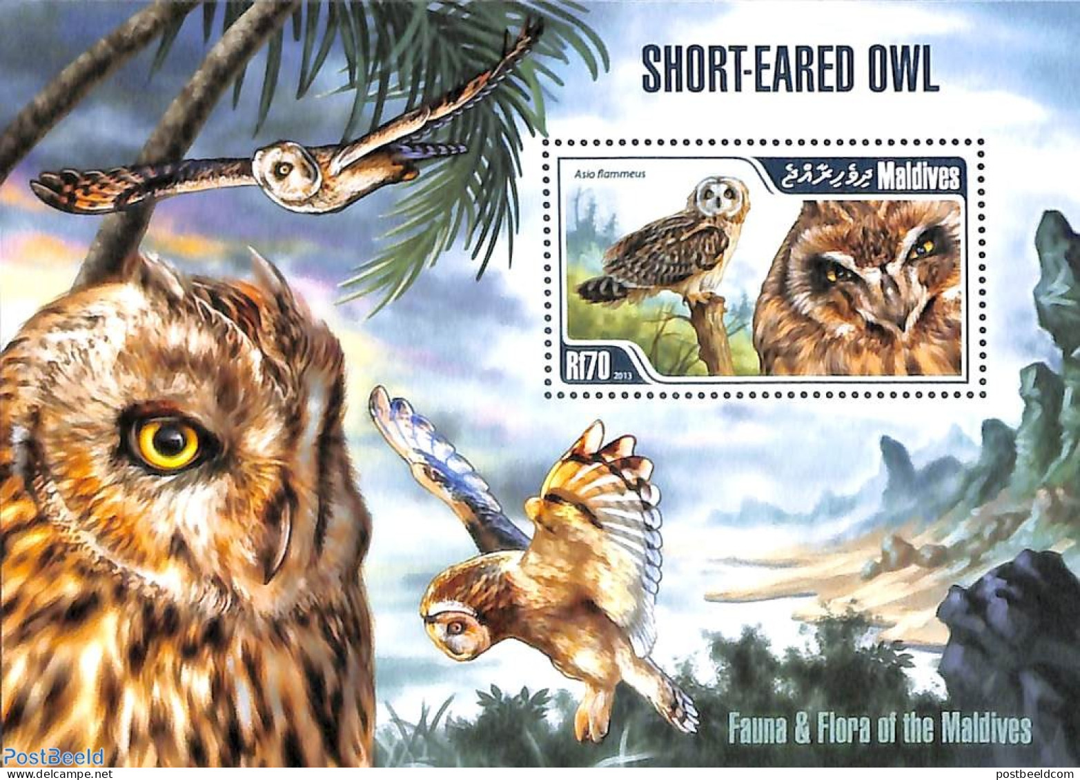 Maldives 2013 Short Eared Owl S/s, Mint NH, Nature - Birds - Owls - Maldivas (1965-...)