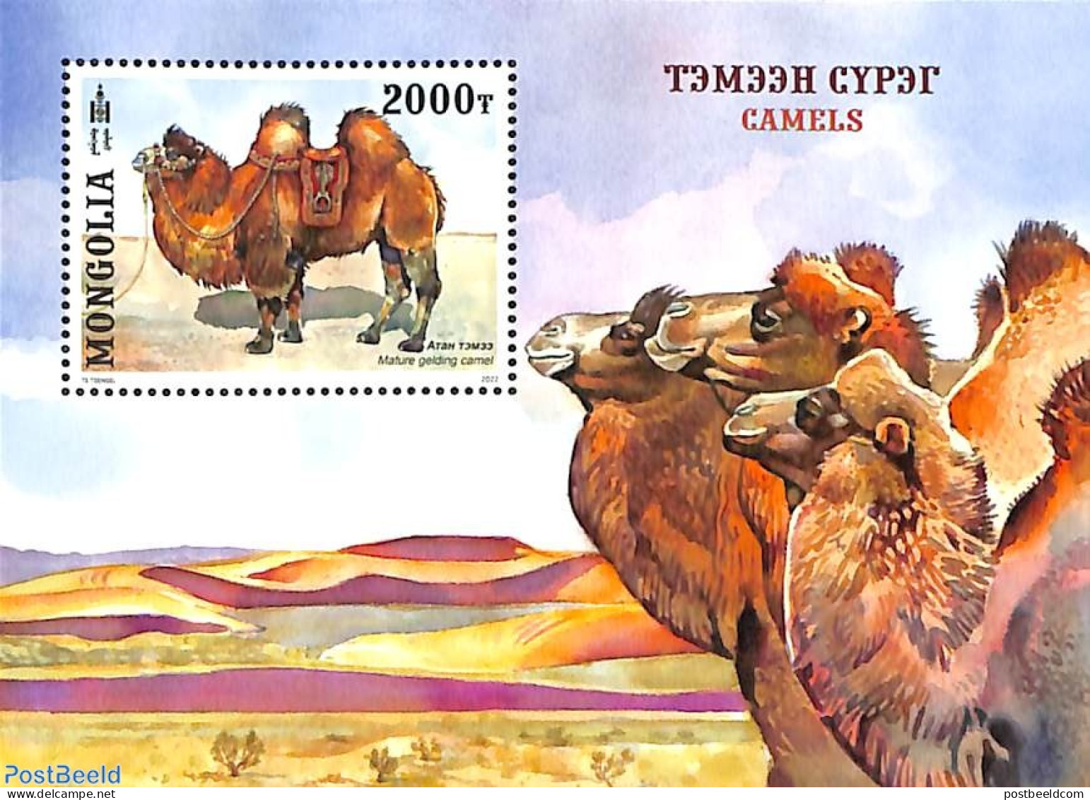 Mongolia 2022 Camel S/s, Mint NH, Nature - Animals (others & Mixed) - Camels - Mongolia