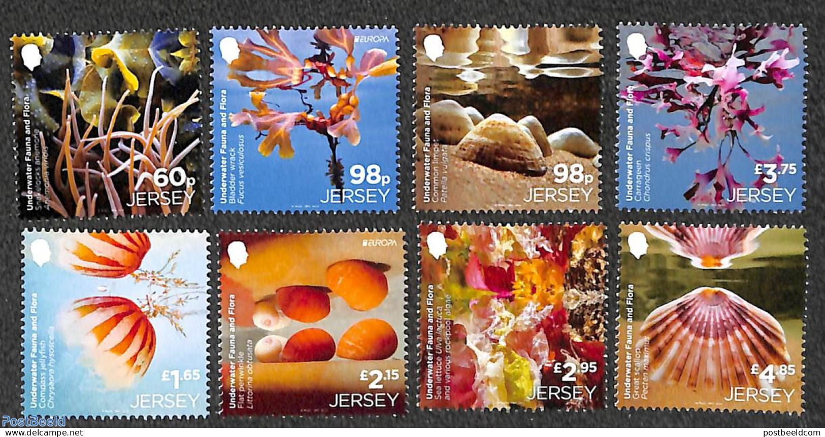 Jersey 2024 Underwater Flora & Fauna 8v, Mint NH, Nature - Animals (others & Mixed) - Shells & Crustaceans - Marine Life
