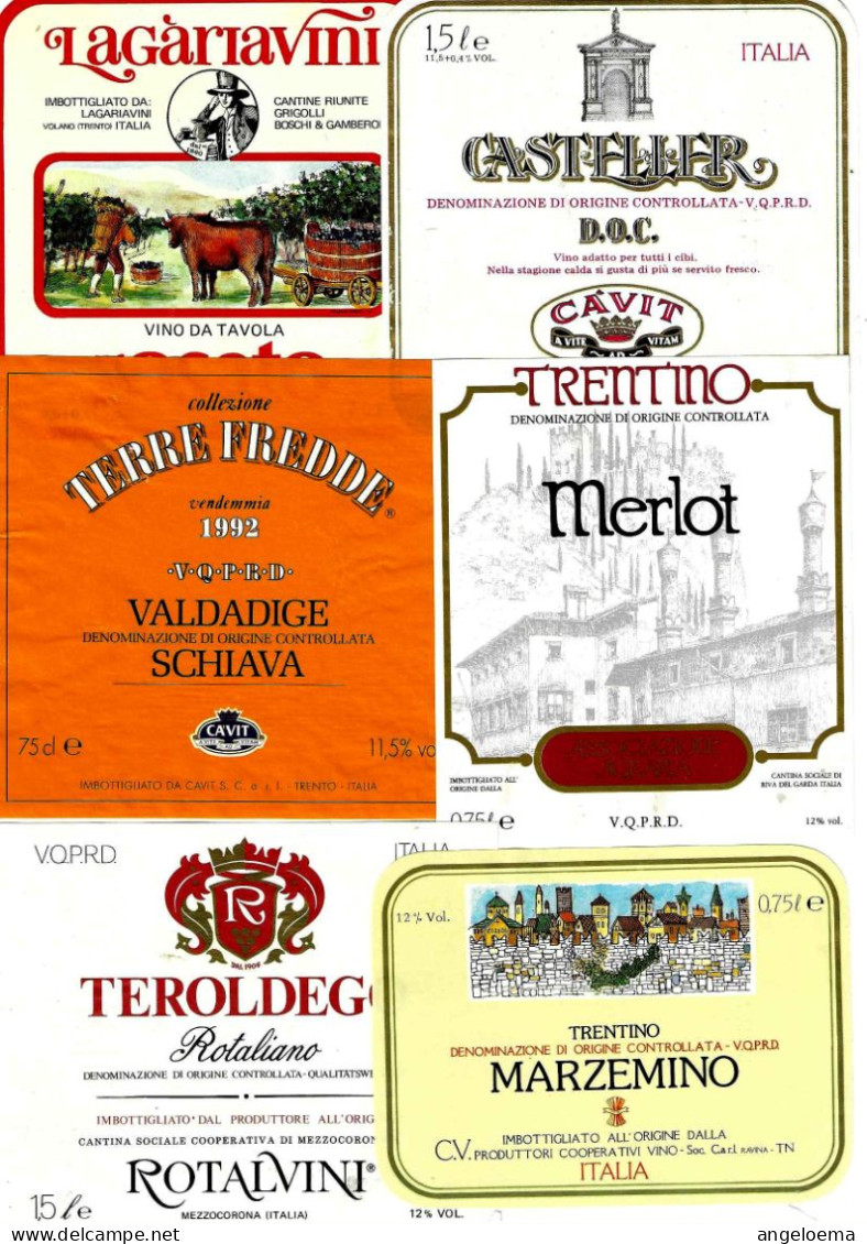 ITALIA ITALY - 15 Etichette Vino Rosso TRENTINO ALTO ADIGE Anni 80-90 Vari Vini Rossi Del Trentino - Rouges