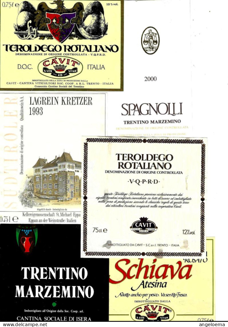 ITALIA ITALY - 15 Etichette Vino Rosso TRENTINO ALTO ADIGE Anni 80-90 Vari Vini Rossi Del Trentino - Rouges