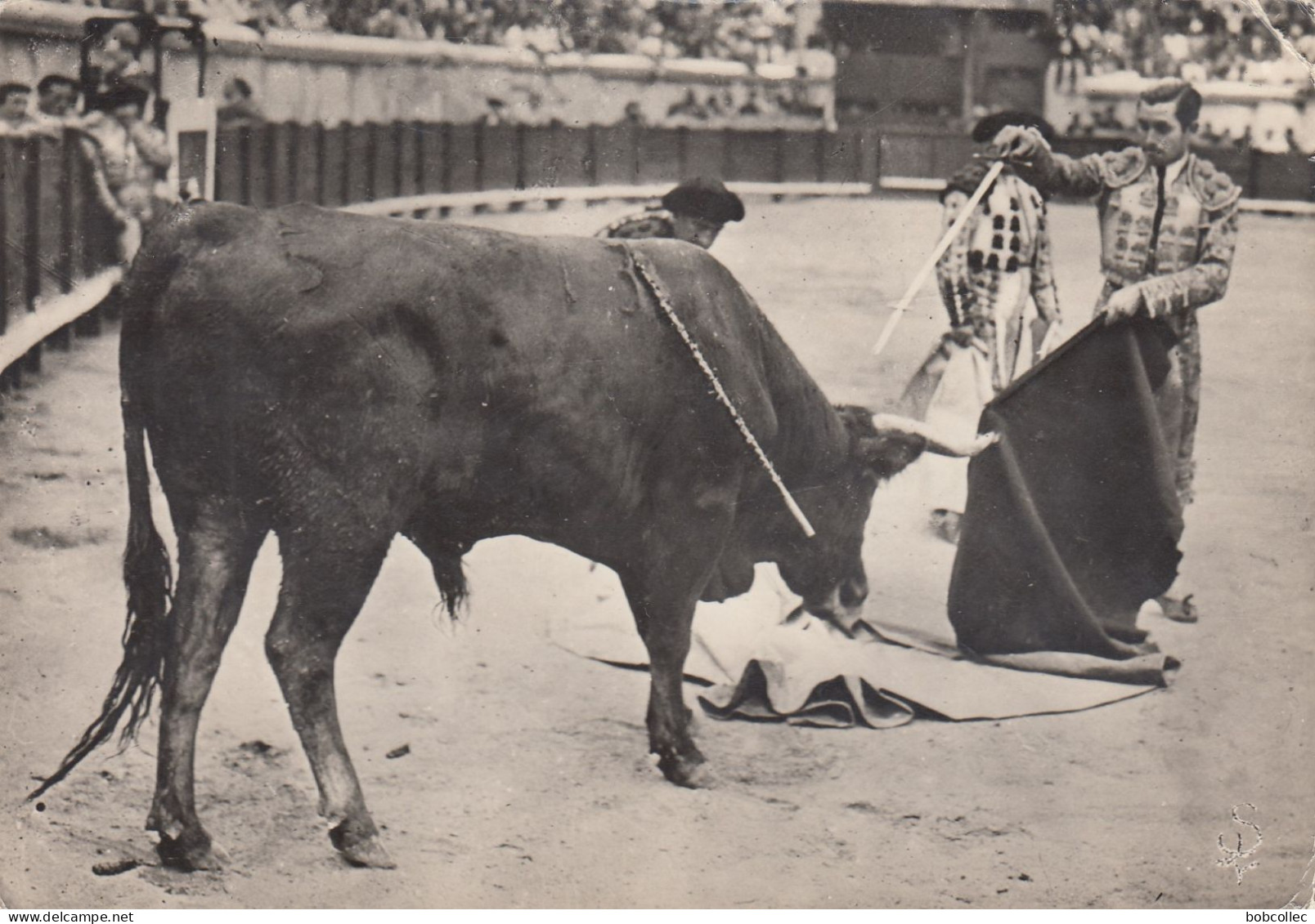 CORRIDA: Un Descabello - Mise à Mort Particulière - Corrida