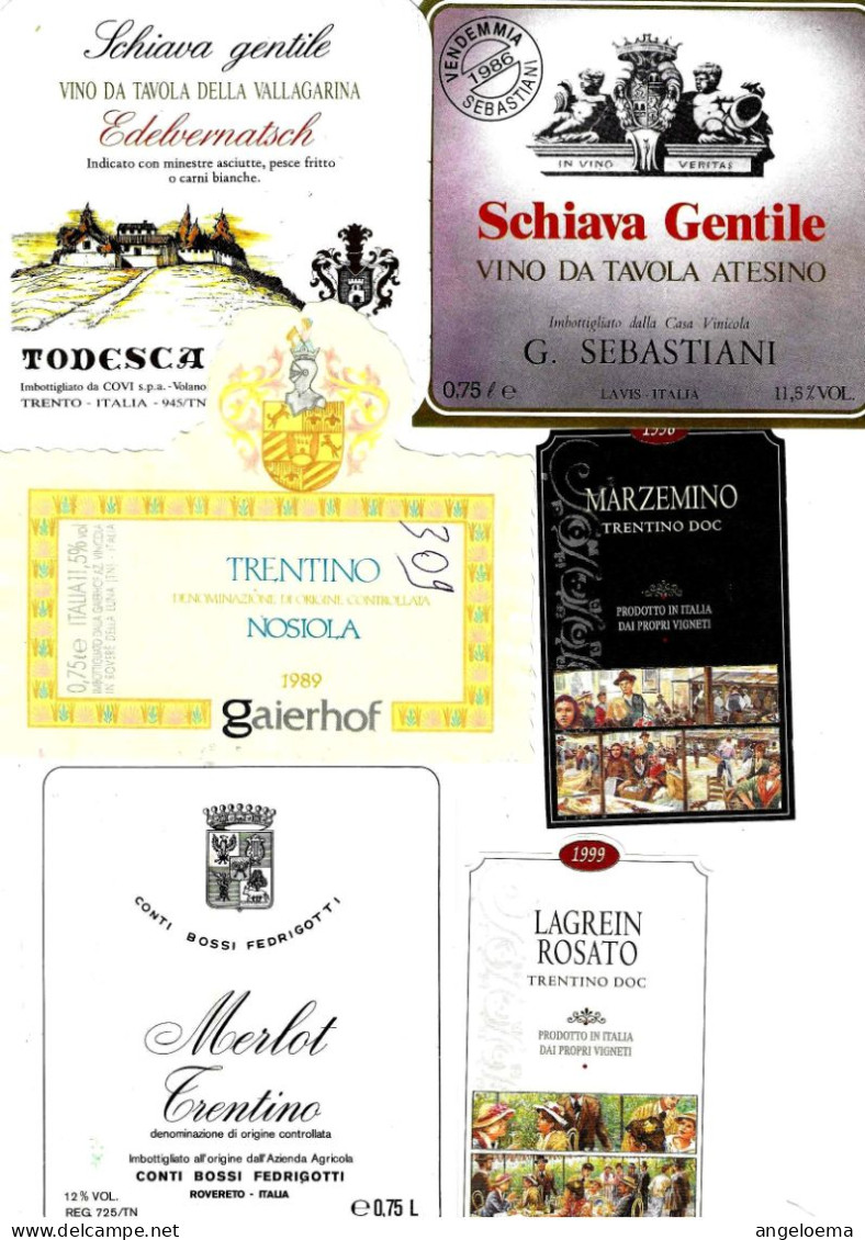 ITALIA ITALY - 16 Etichette Vino Rosso TRENTINO ALTO ADIGE Anni 80-90 Vari Vini Rossi Del Trentino - Vino Tinto