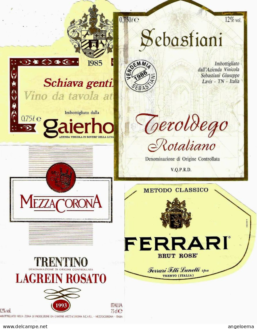 ITALIA ITALY - 16 Etichette Vino Rosso TRENTINO ALTO ADIGE Anni 80-90 Vari Vini Rossi Del Trentino - Rotwein
