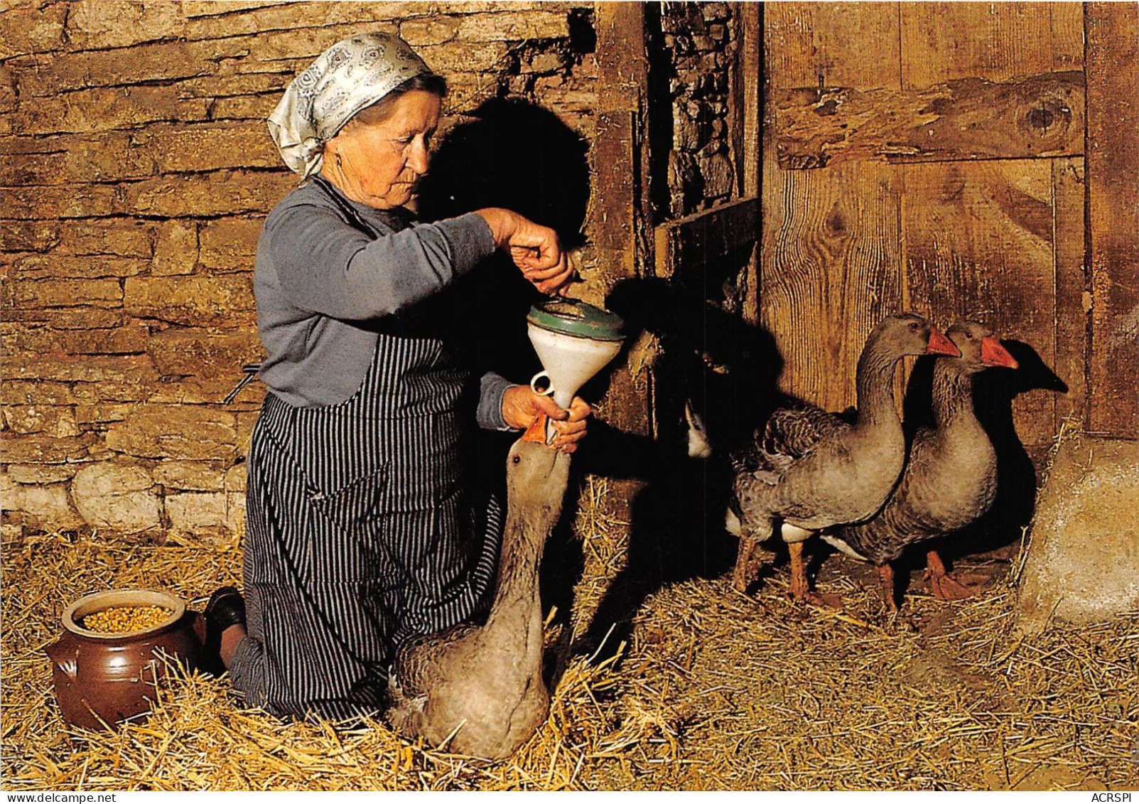 Terroir Et Traditions SCENE DE LA VIE PAYSANNE LE GAVAGE DES OIES Editions Cahors 10(scan Recto-verso) MA323 - Craft