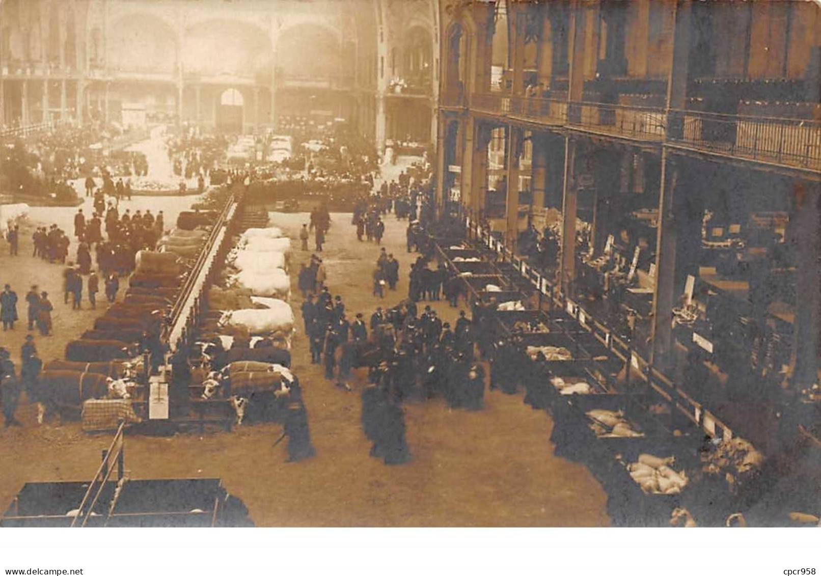 75008. N°55322.PARIS.grand Palais.concours Agicole 1908.carte Photo - Arrondissement: 08