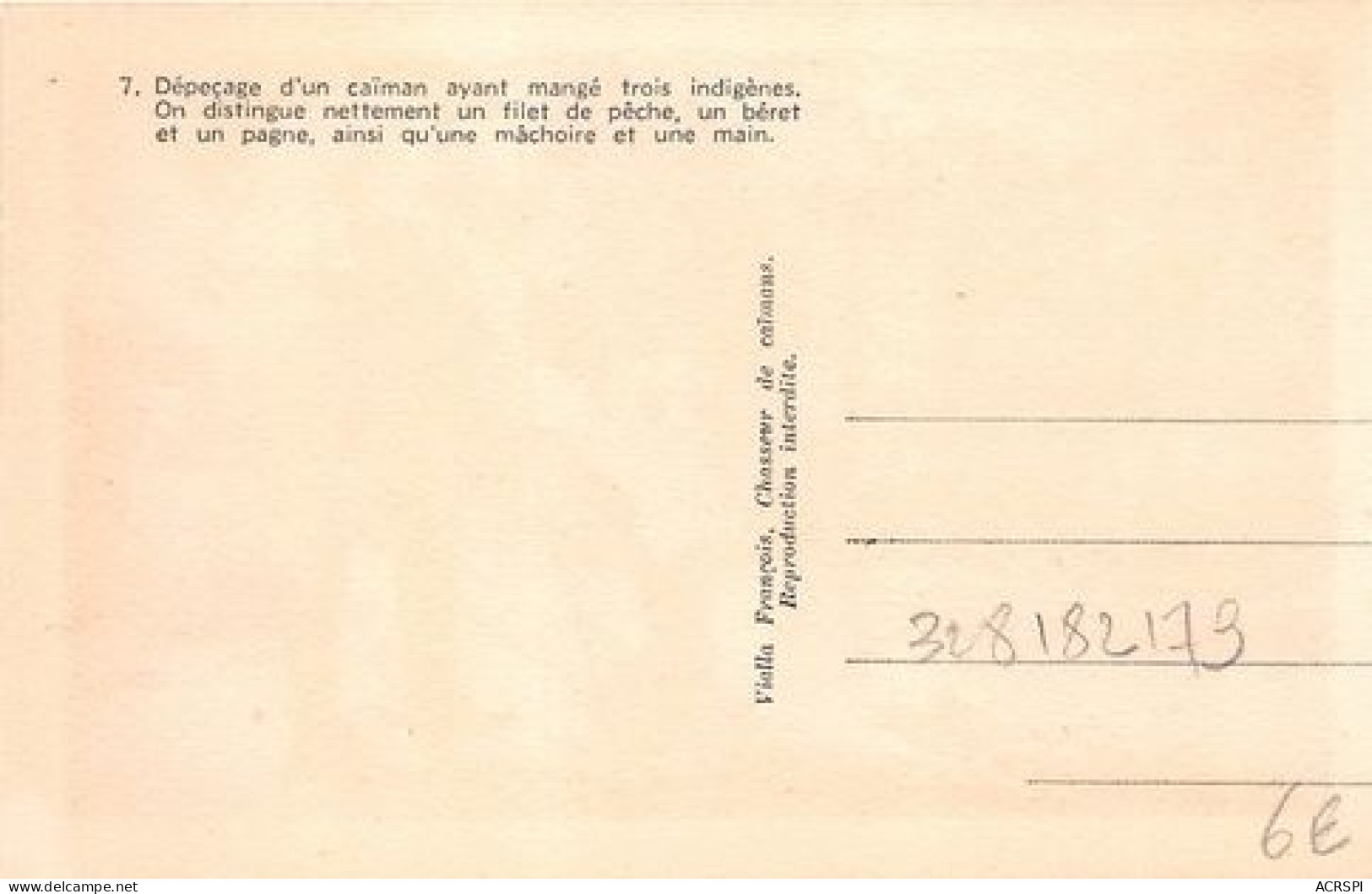 GUINEE FRANCAISE Depecage D Un Caiman Ayant Mange Trois Indigenes On Distingue Un Filet 6(scan Recto-verso) MA353 - French Guinea