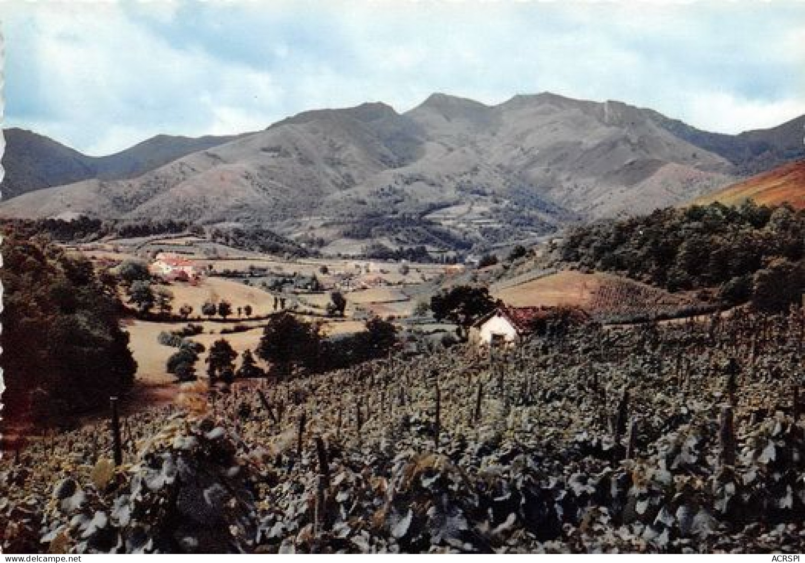 BIDARRAY Reflets Du Pays Basque 32(scan Recto-verso) MA348 - Bidarray