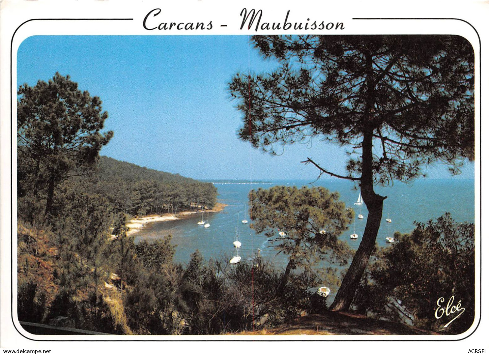 CARCANS MAUBUISSON Le Lac D Hourtin A Travers Les Pins 17(scan Recto-verso) MA396 - Carcans