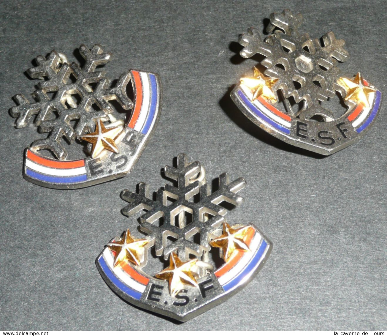 Lot 3 Récompenses ESF Ecole De Ski Français Médailles Broches Cristal De Glace Flocon Neige Etoile étoiles - Wintersport