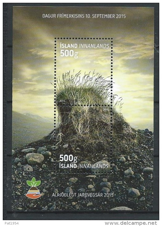 Islande Bloc F1401 Neuf De 2015 Années Des Sols - Blocks & Sheetlets