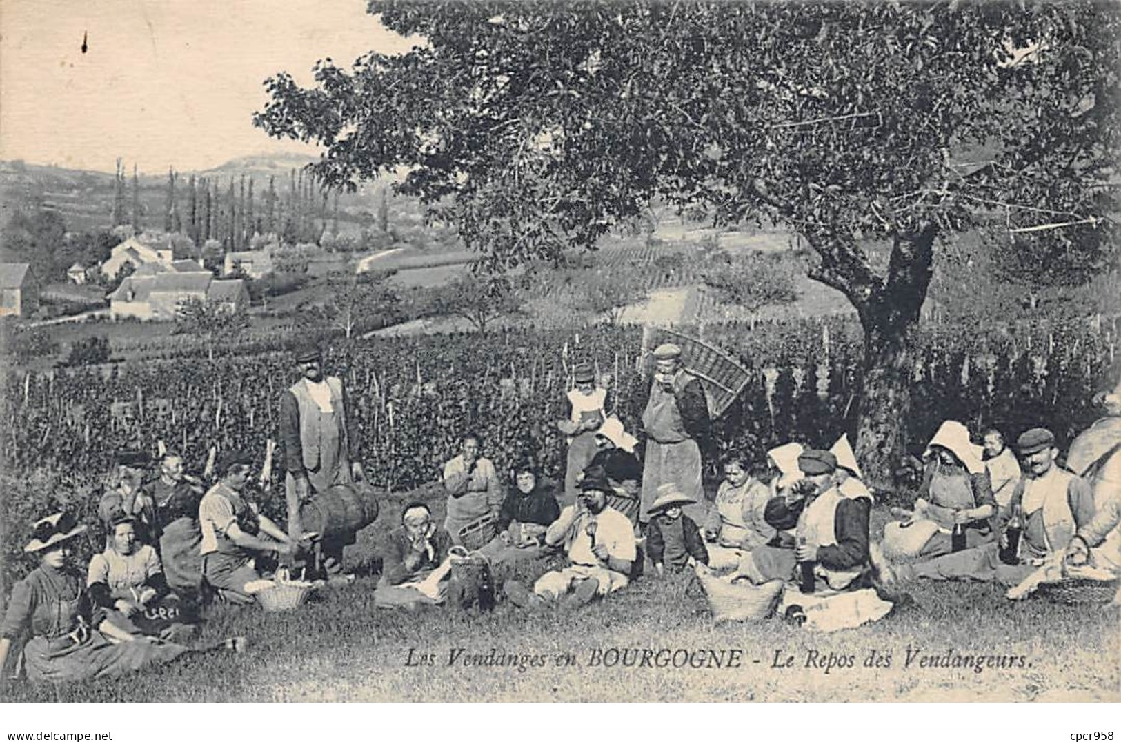 Agriculture - N°64242 - Les Vendanges En Bourgogne - Le Repos Des Vendangeurs - Vignes