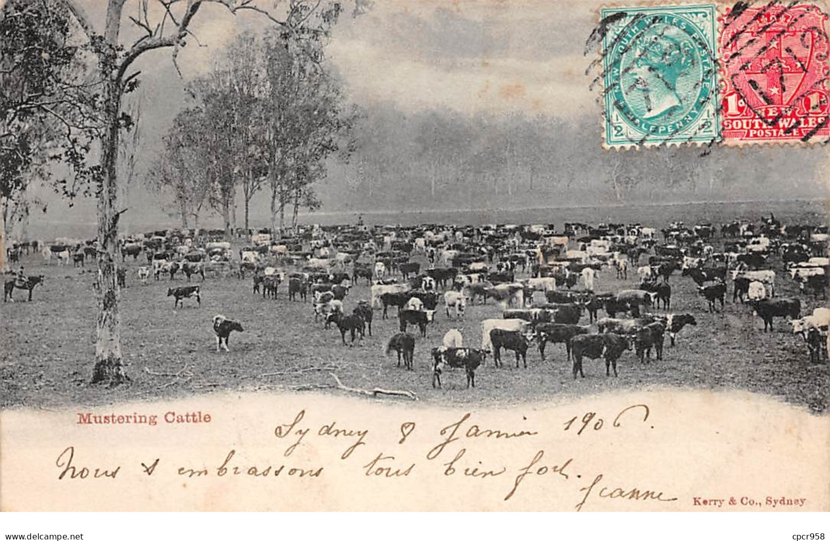 Australie - N°64698 - Sydney - Mustering Cattle - Sydney