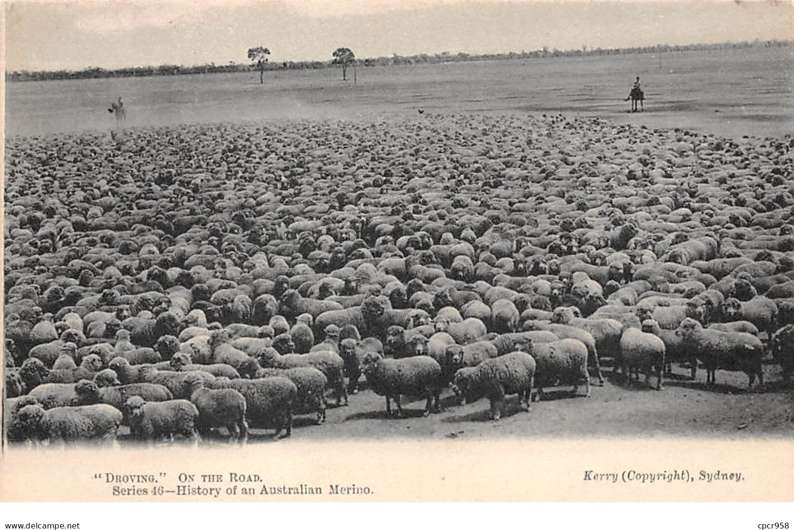 Australie - N°64692 - Droving On The Road - Moutons - Autres & Non Classés