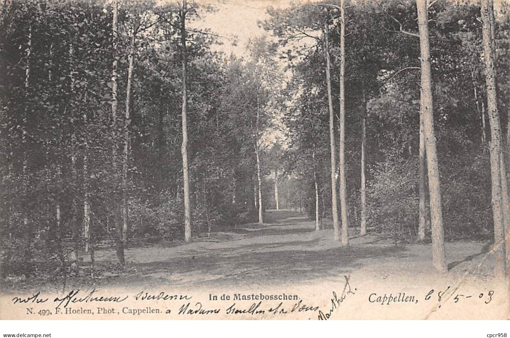 Belgique - N°65905 - In De Mastebosschen - Cappellen - Kapellen