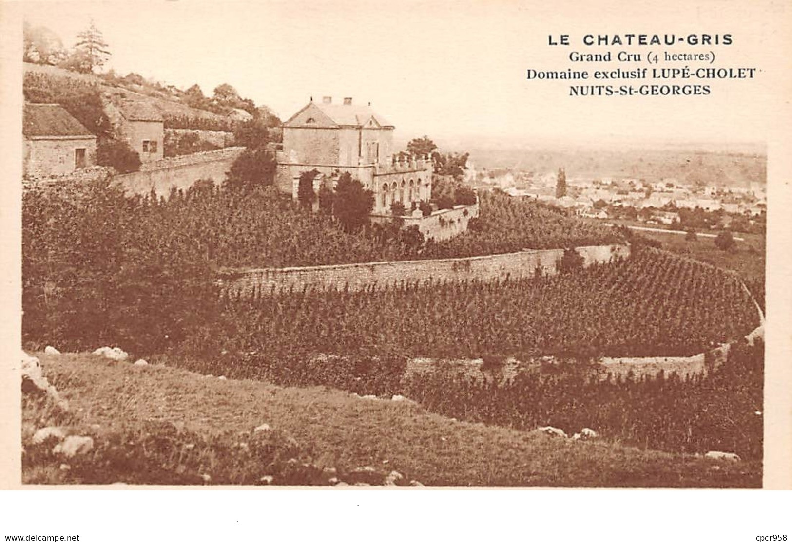 21 . N°205232. Nuits St Georges.le Chateau Gris. Grand Cru. Domaine Exclusif Lupé-cholet - Nuits Saint Georges