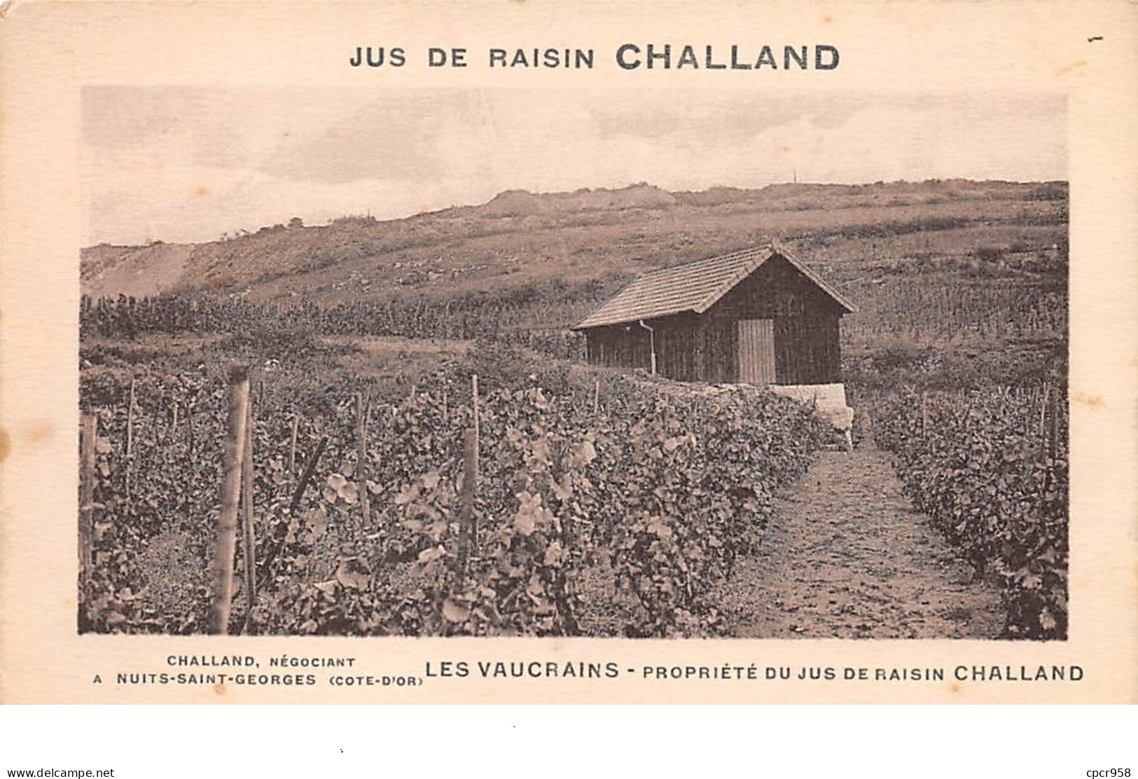 21 . N°205226. Nuits St Georges. Jus De Raisin Challand. Les Vaucrains. Vigne. Métier - Nuits Saint Georges