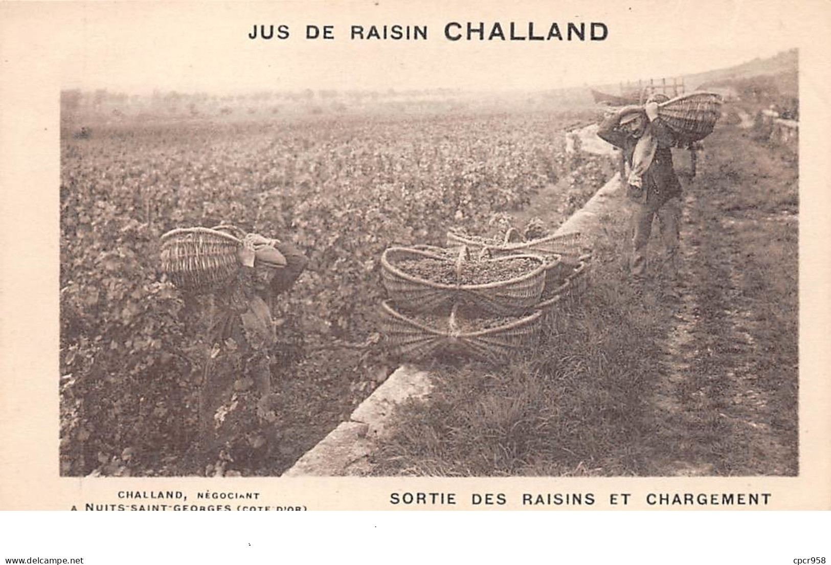 21 . N°205229. Nuits St Georges. Jus De Raisin Challand. Sortie Des Raisins. Vigne. Métier - Nuits Saint Georges