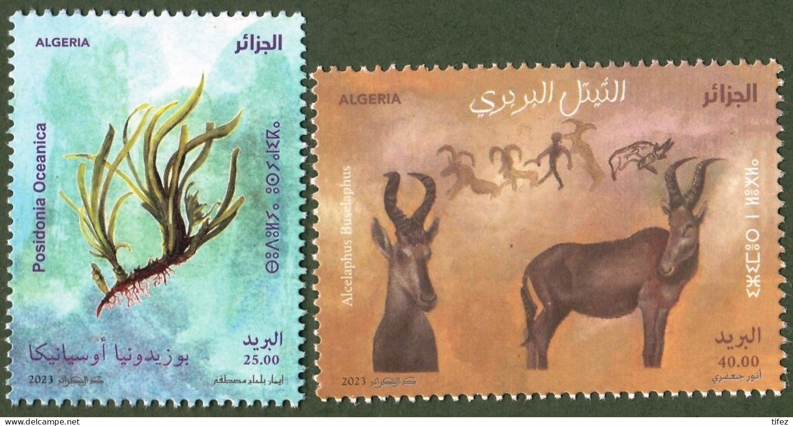 Année 2023-N°1939/1940 Neufs**MNH : Environnement : Le Bubale De Barbarie - La Posidonie - Algeria (1962-...)