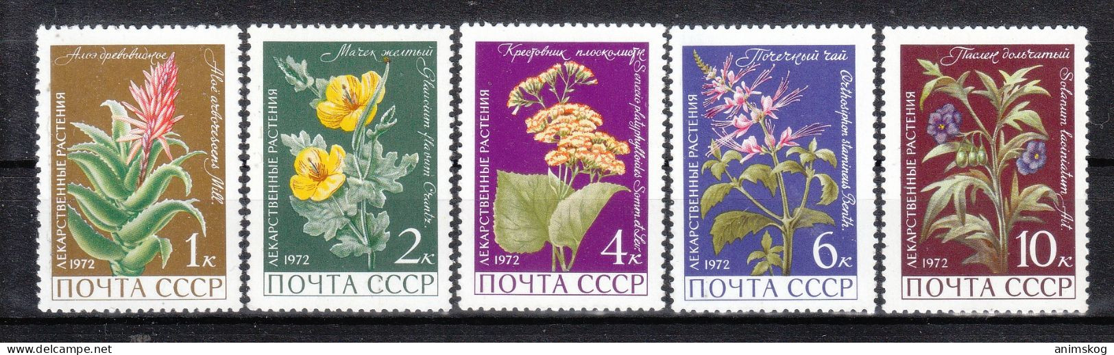UdSSR 1972**, Arzneipflanzen, Mit Sukkulenten Aloe Und Senecio / USSR 1972, MNH, Medicinal Plants With Aloe And Senecio - Cactus