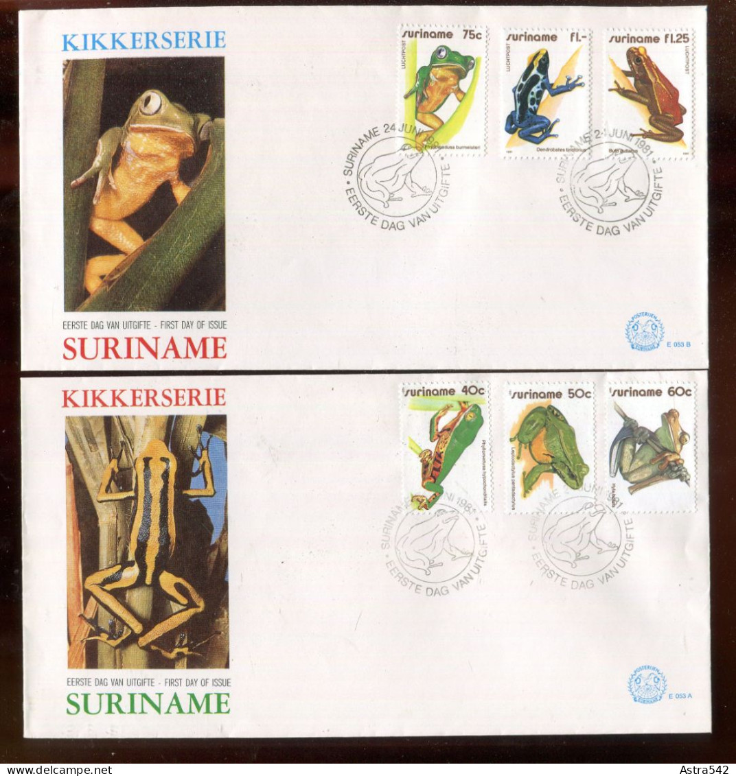 "SURINAME" 1981, Mi. 948-953 "Froschlurche" Auf 2 FDC (A1096) - Surinam