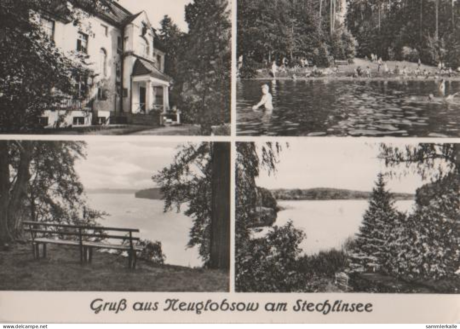 16784 - Neuglobsow Am Stechlinsee - Ca. 1965 - Gransee