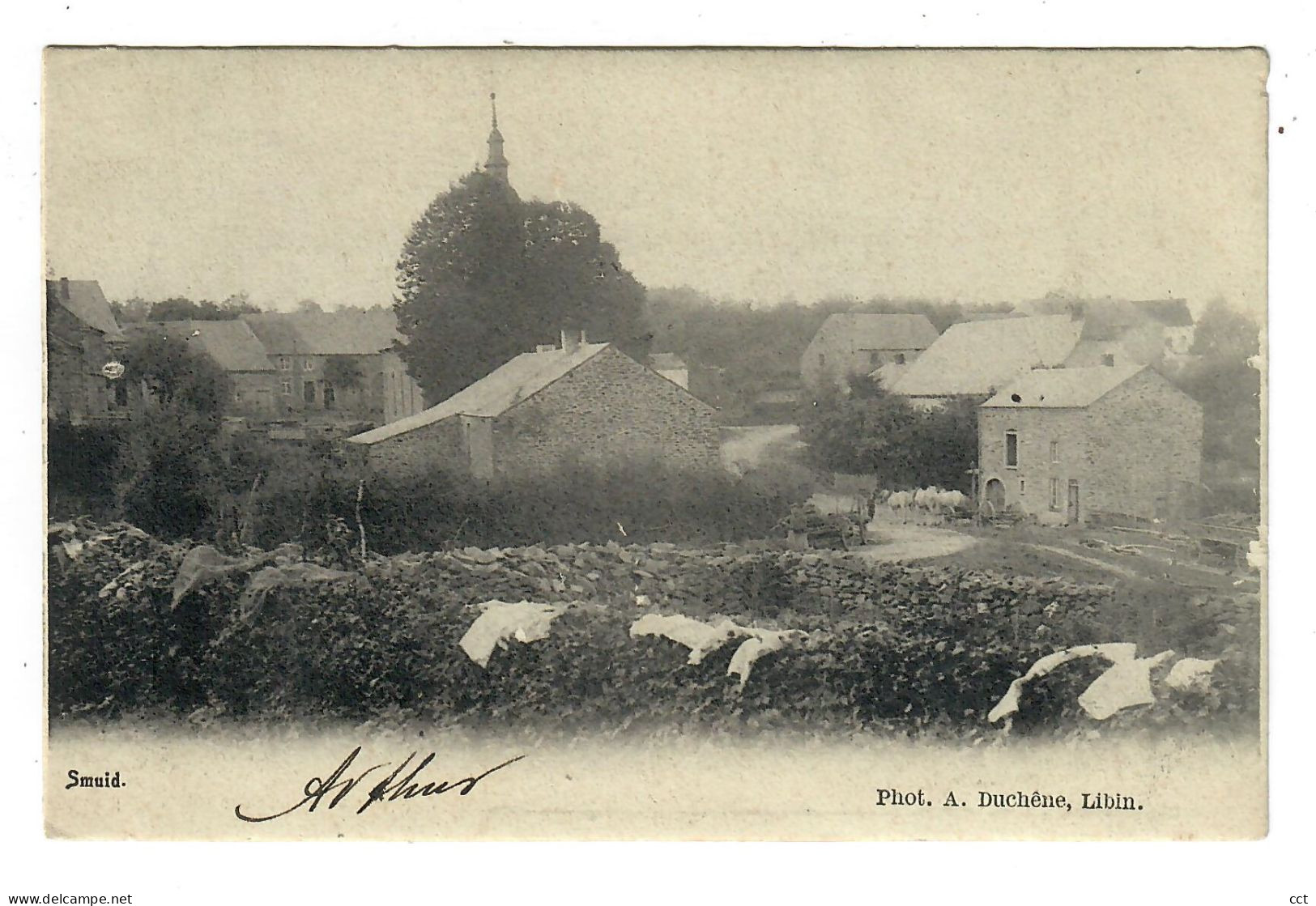 Smuid   Libin  (vue Sur Le Village)   Phot A Duchêne  Libin - Libin