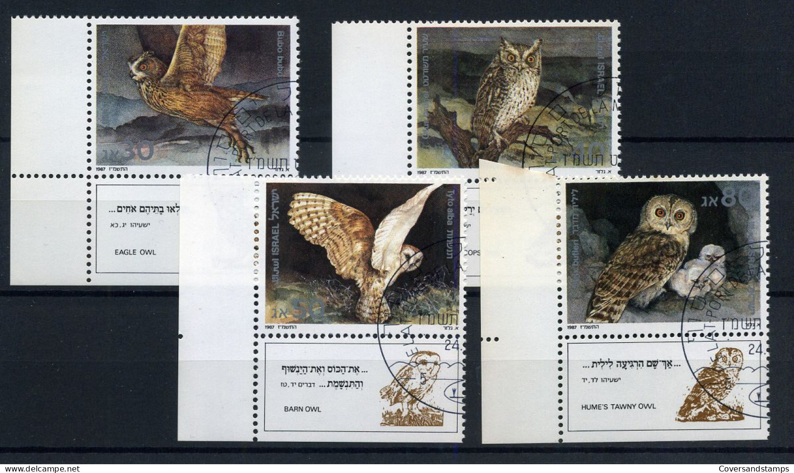 Israel - Owls - Uilen