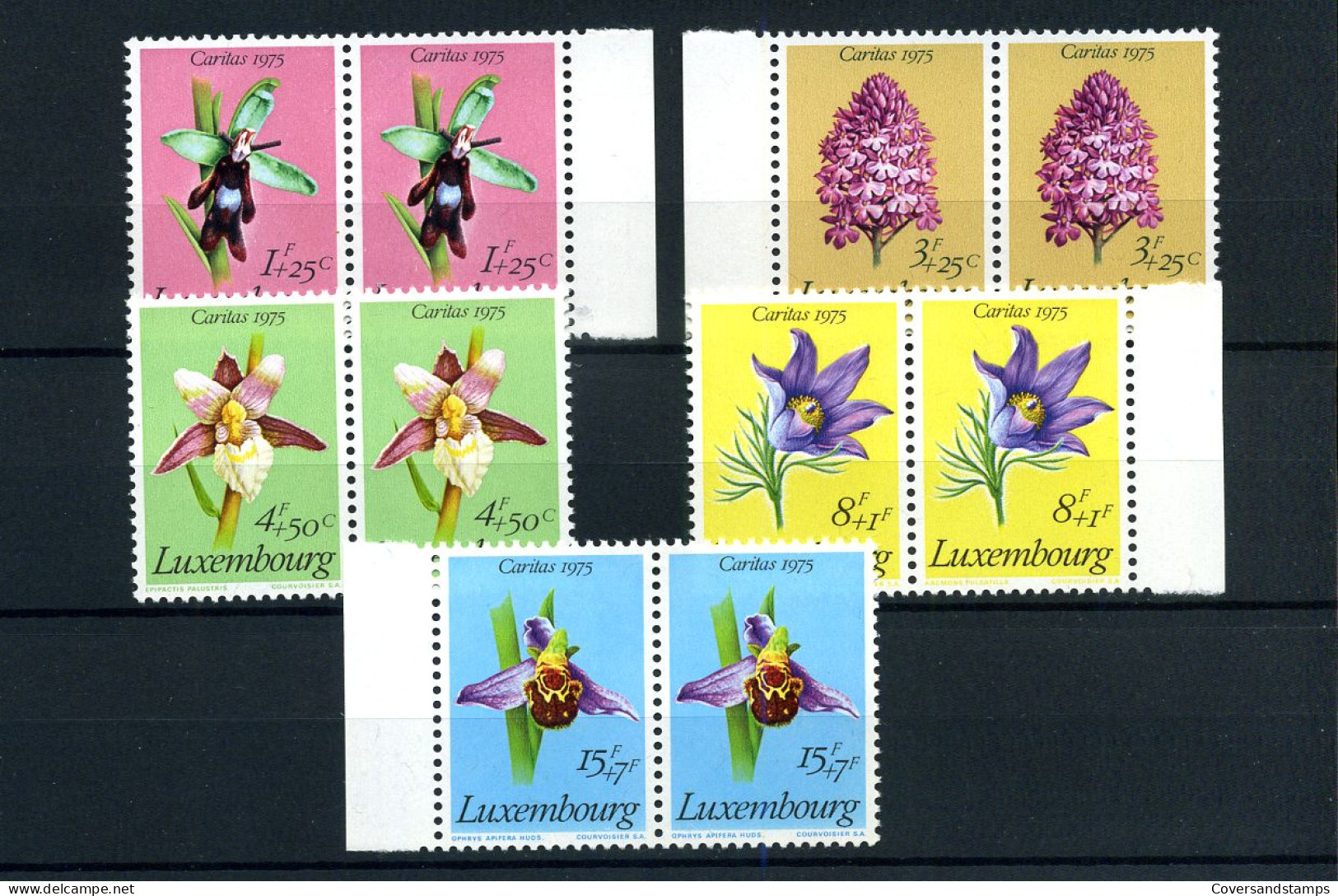 Luxembourg - 864/68 En Pair - MNH ** - Caritas 1975 - Unused Stamps
