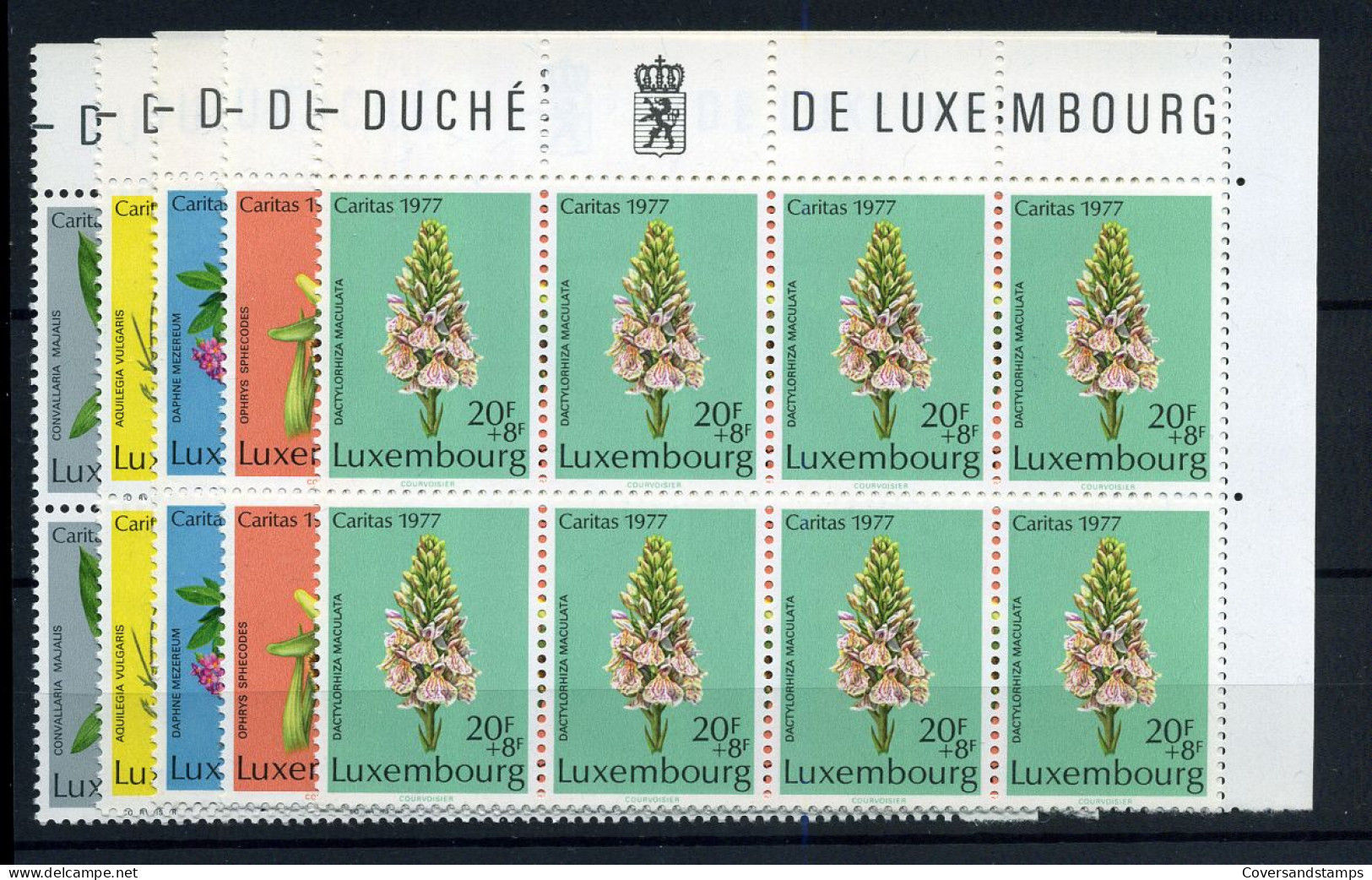Luxembourg - 907/11 En Block De 8  - MNH ** - Caritas 1977 - Unused Stamps