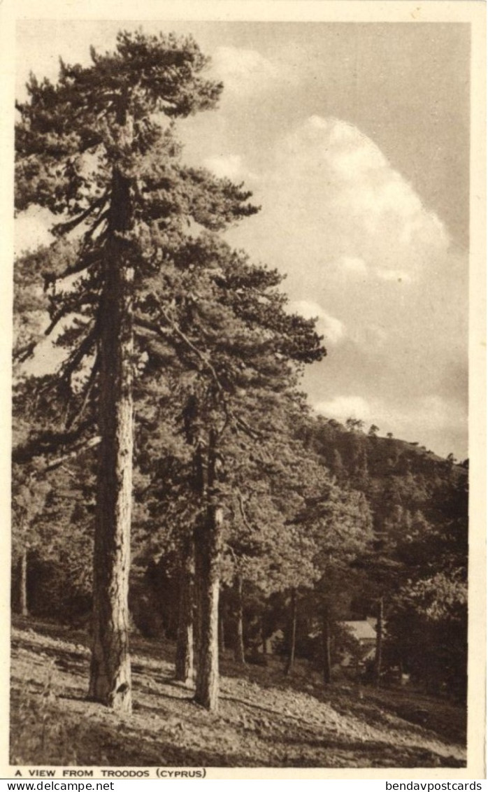 Cyprus, TROODOS, View With Trees (1950s) Mangoian Bros. Postcard (1) - Cipro