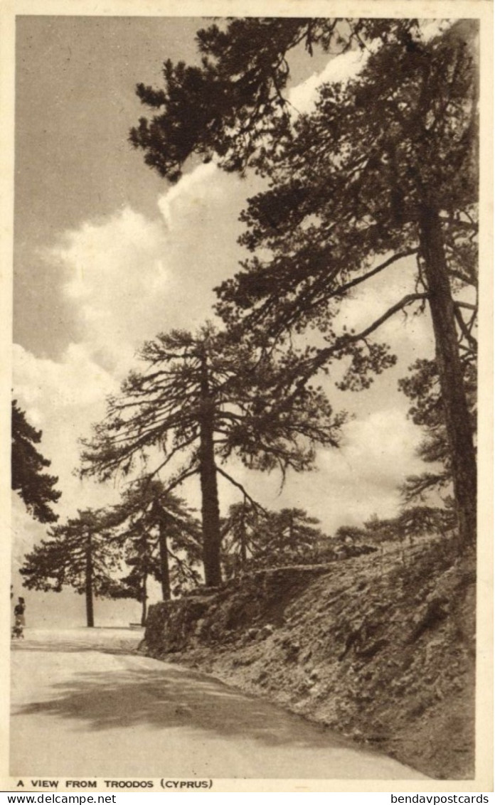 Cyprus, TROODOS, View With Trees (1950s) Mangoian Bros. Postcard (2) - Cipro
