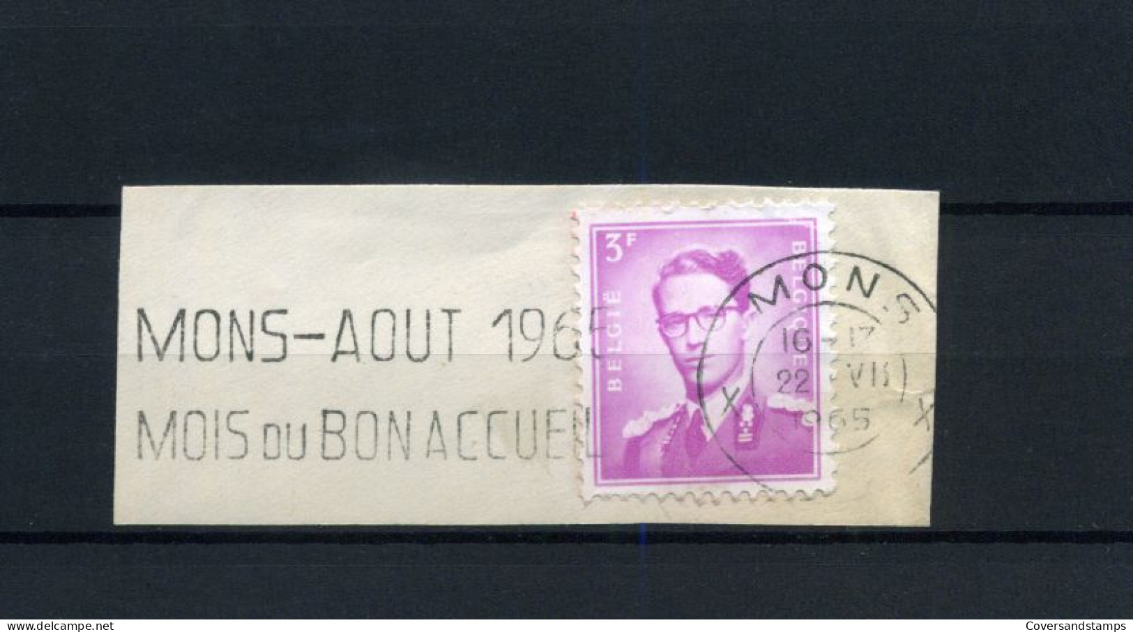 Vlagstempel  / Flamme : "Mons-Aout 1965, Mois Du Bon Accueil" - Fragment - Targhette