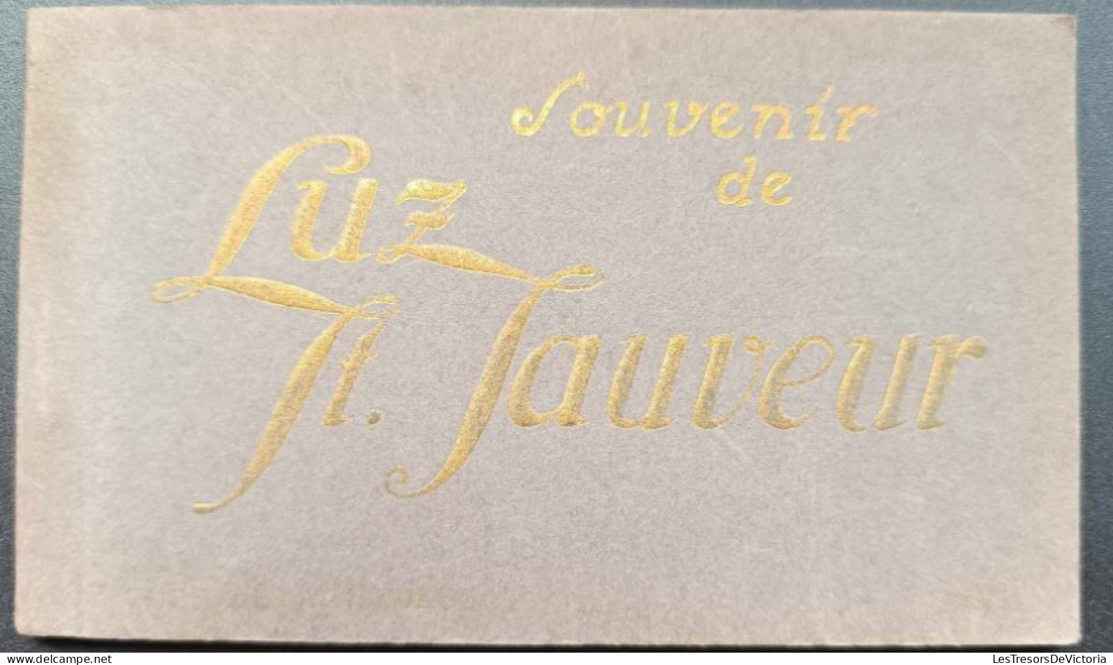 Carnet De Cartes Postales Anciennes Complet - France - Souvenir De Luz Syt Sauveur - Luz Saint Sauveur