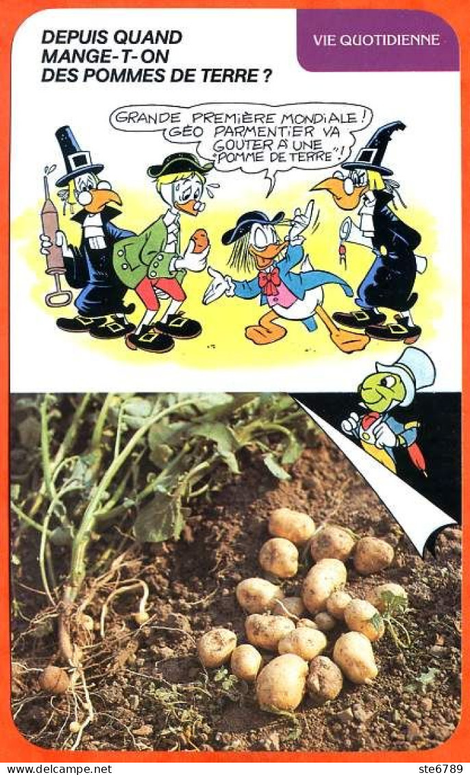 Disney Humour Les Pommes De Terre Patates Parmentier  Fiche Illustrée Documentée Vie Quotidienne - Other & Unclassified